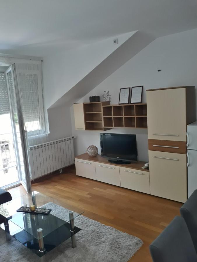 דירות Vrnjačka Banja Apartman Romansa מראה חיצוני תמונה